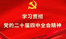 学习贯彻党的二十届四中全会精神